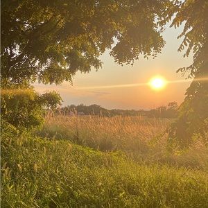 Meet your Posher, Cassandra